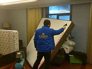 夜夜與螨蟲相伴，對您和家人的身休會有哪些危害？怎樣清除螨蟲？